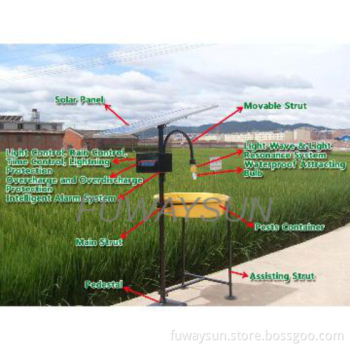 Intelligent Solar Insect Killer-Single Bulb11